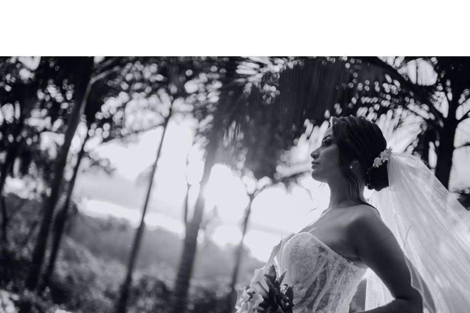 Jardim