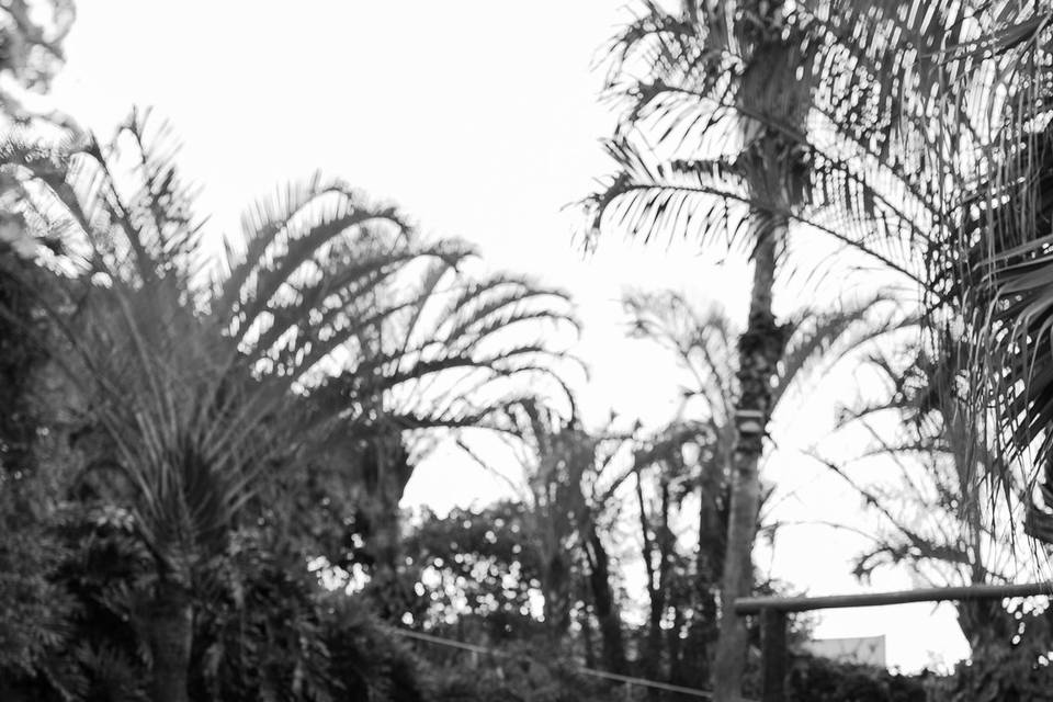 Americana SP
