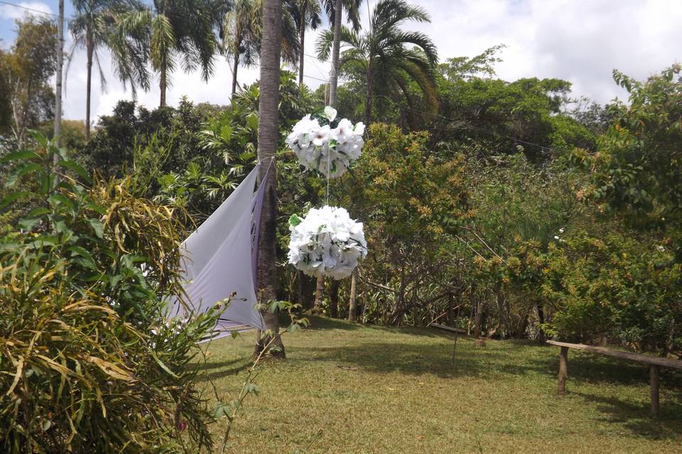 Aniversário na fazenda