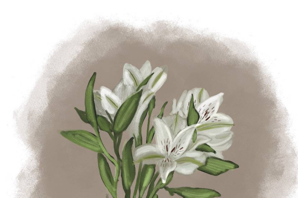 Astromelia aquarela