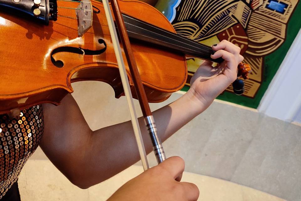 Violino