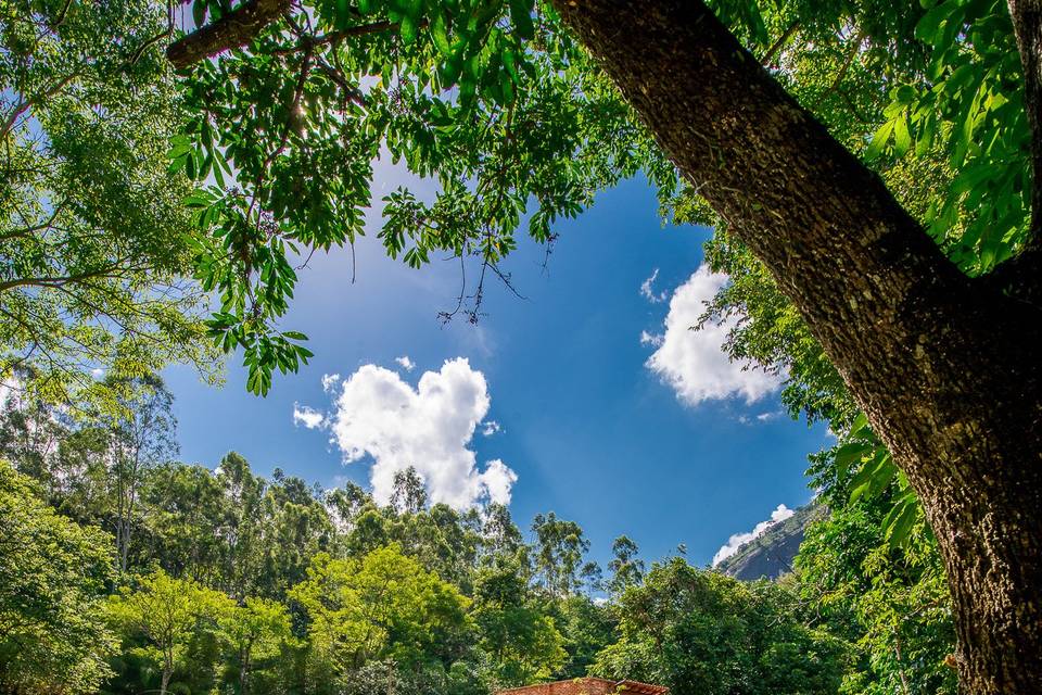 Paisagem Exuberante