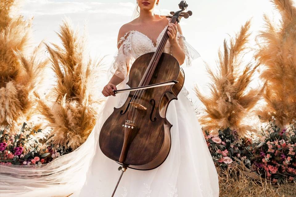 Celestial Wedding