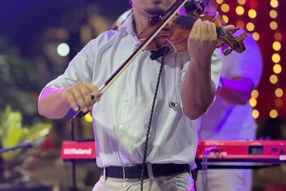 Violinista