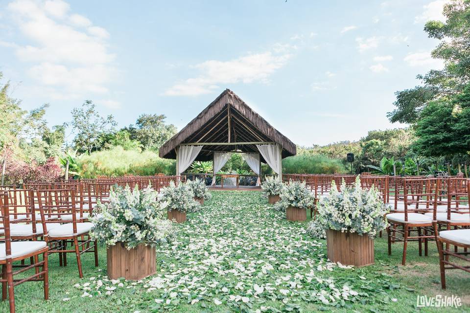 Plano B - casamento no campo