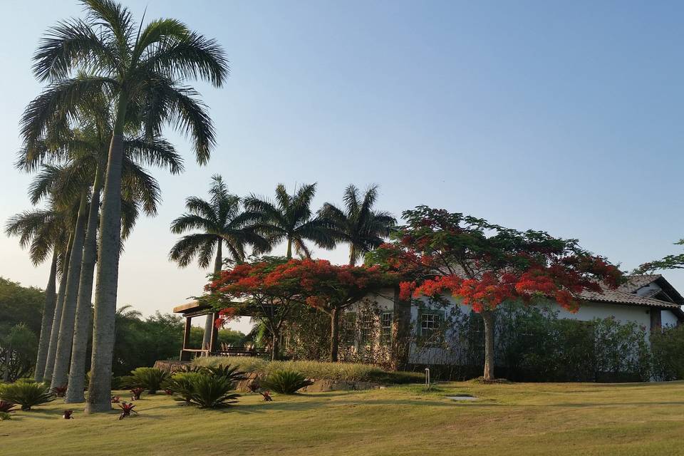 Restaurante Noturno