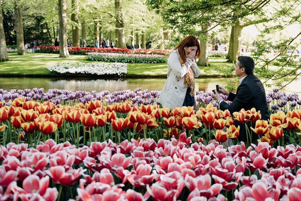 Pedido de casamento na Holanda