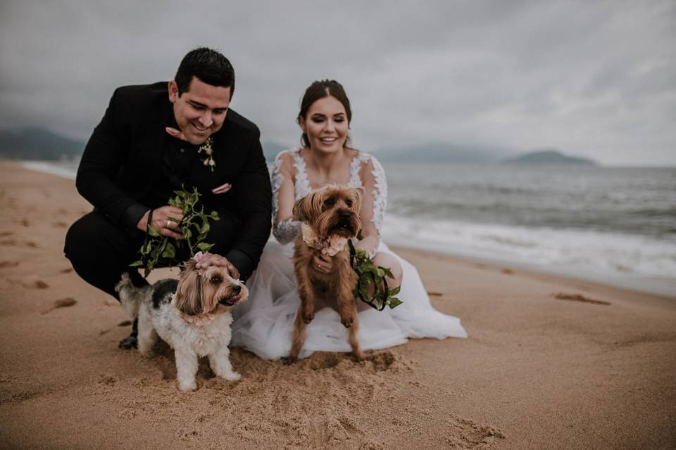 Lindos Pets em seu casamento