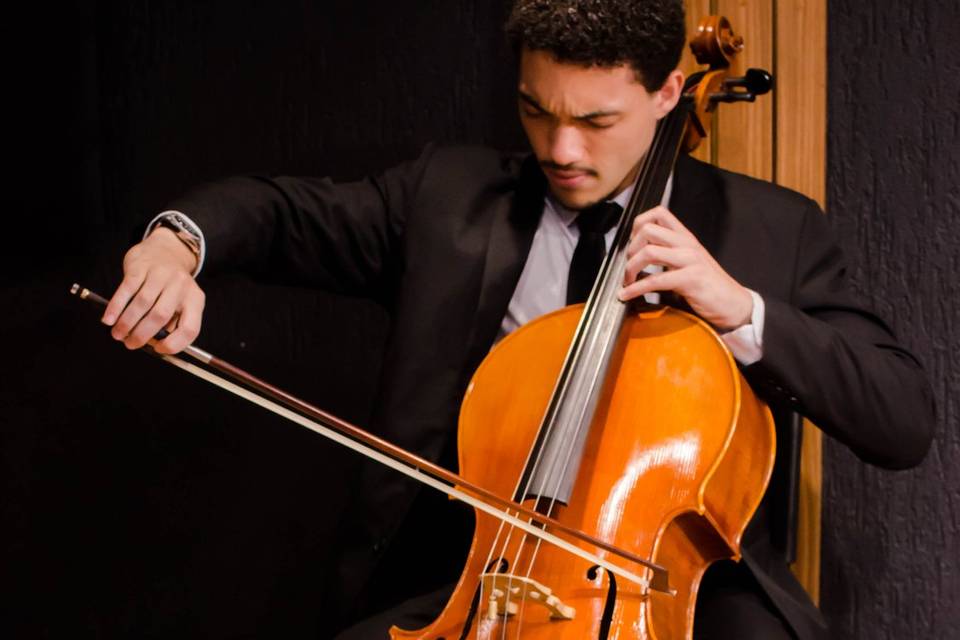 Violoncelo