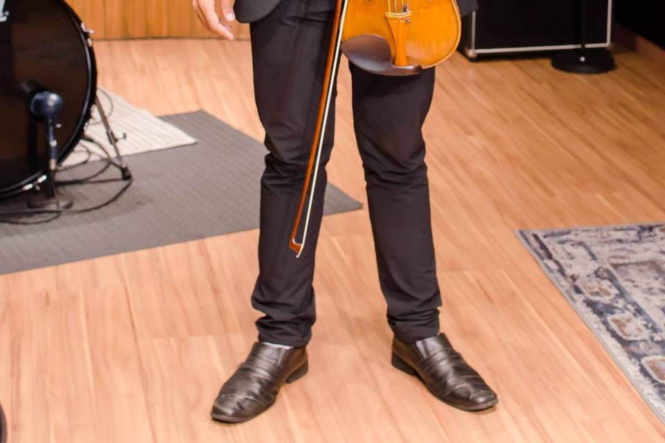 Violino