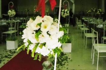 Lindas flores