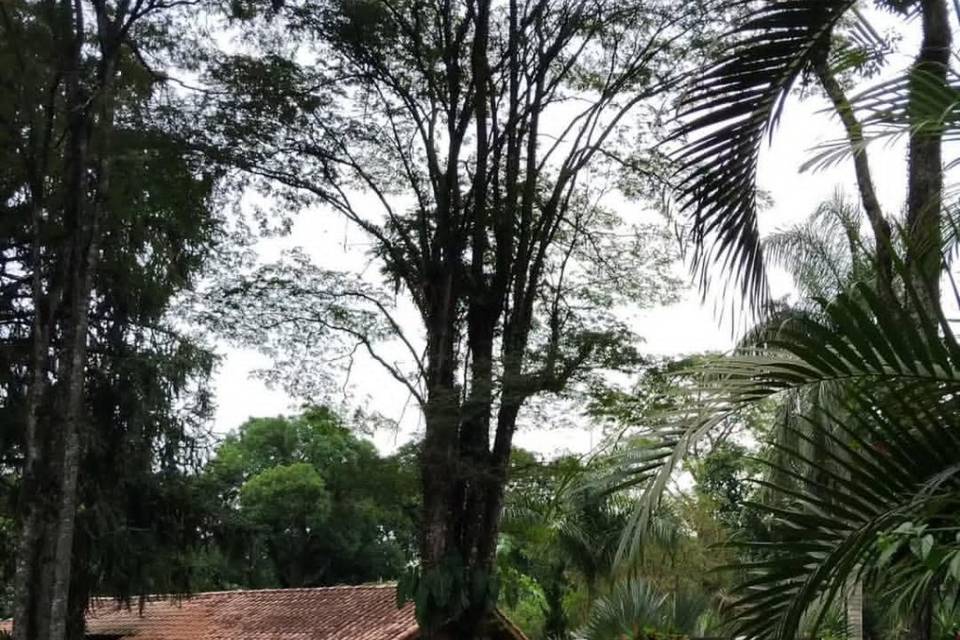 Depois da chuva, o tempo abriu