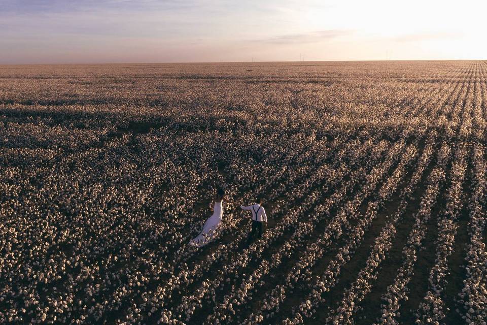 Trash the dress