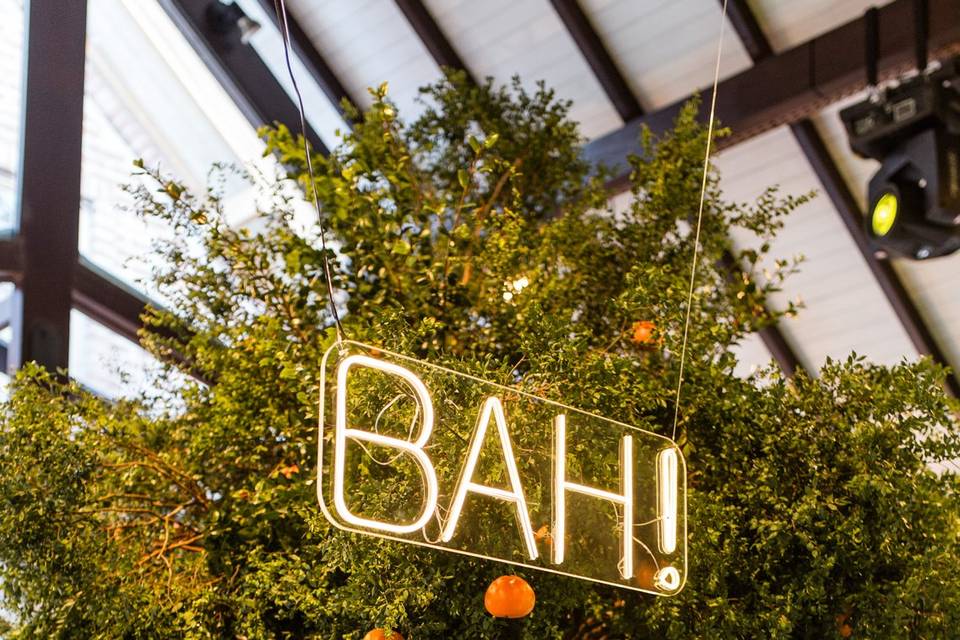 Assessoria & Projeto