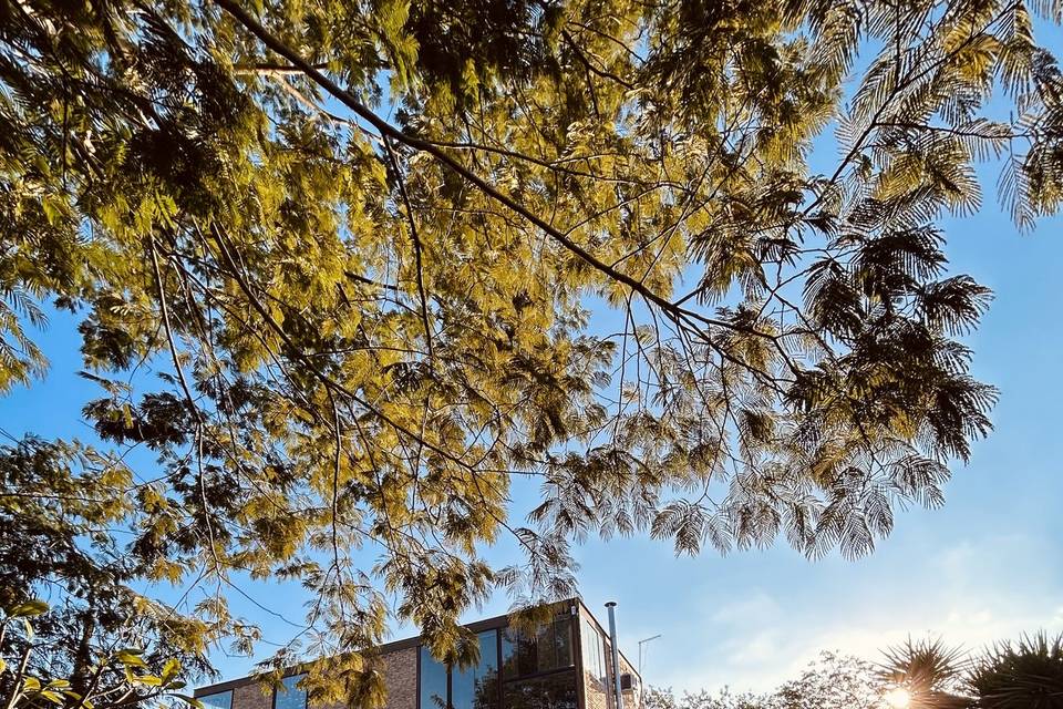 ETAMA - Loft dos noivos.