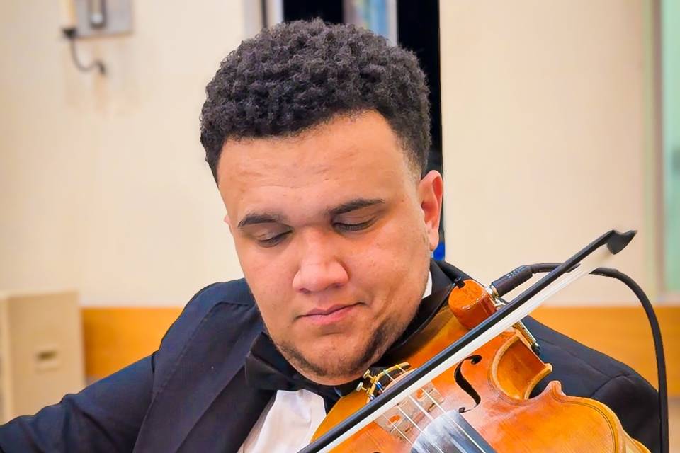 Instrumentista profissionais