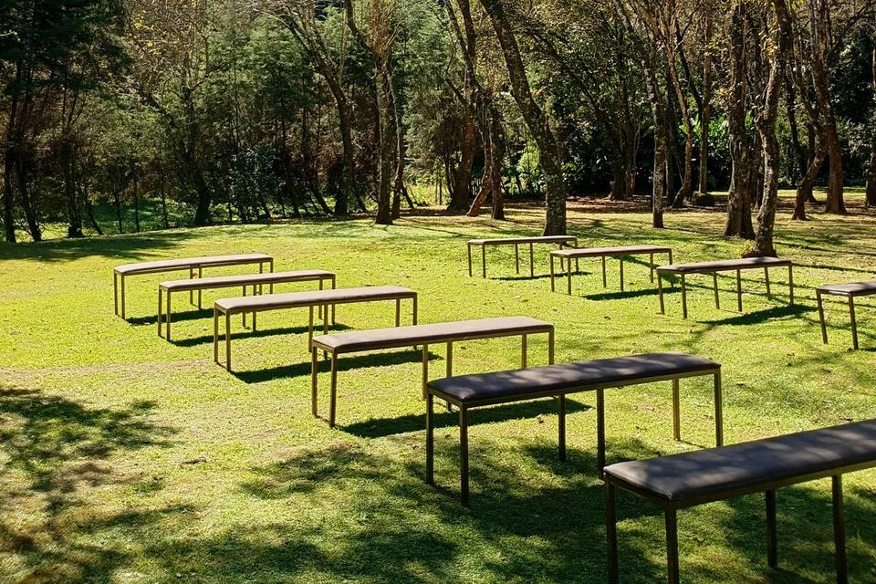 Bosque