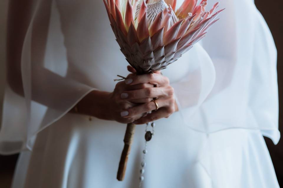 Acervo Flavia Kali
