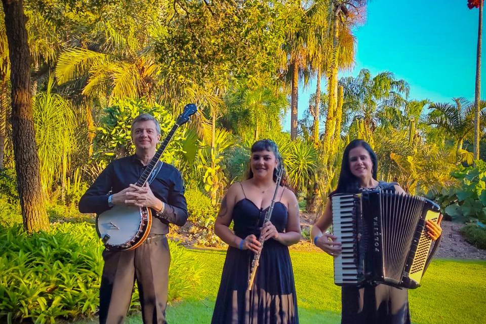 Banjo , flauta e acordeon