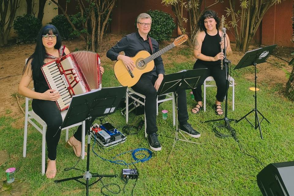 Acordeon, viola e flauta