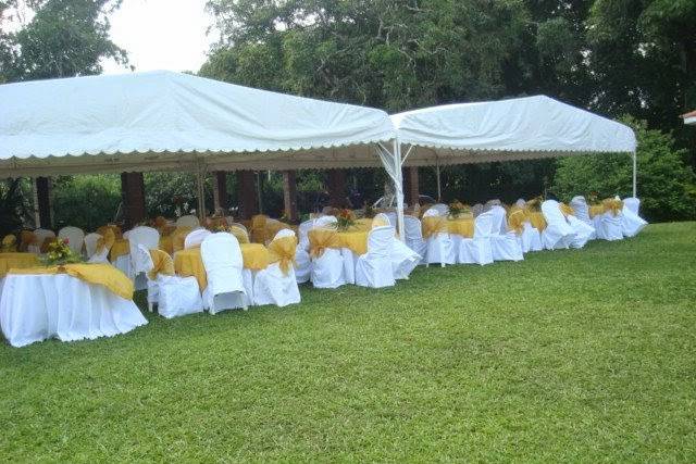Toldos medindo 6 x 6
