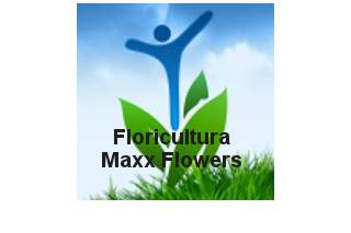 Logo Maxx Flowers