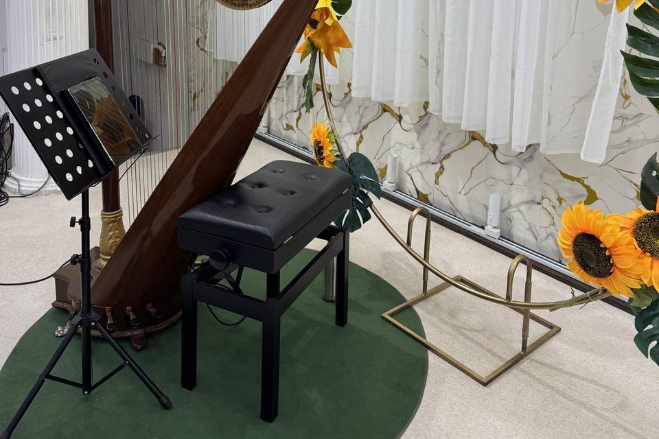 Harpa Sinfônica em Evento