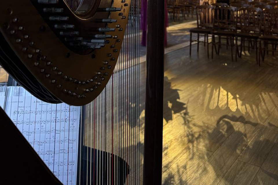 Recepção + Cerimônia