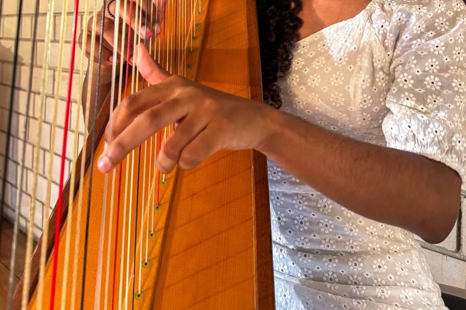 Harpista Débora Jordão