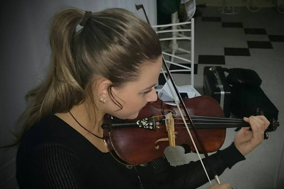 Violino