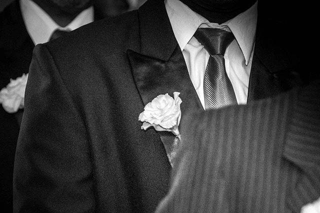 Paulo Sales Fotografia