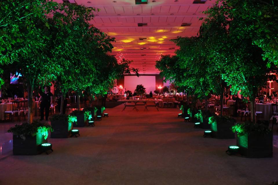 Salão de casamento Barro Branco