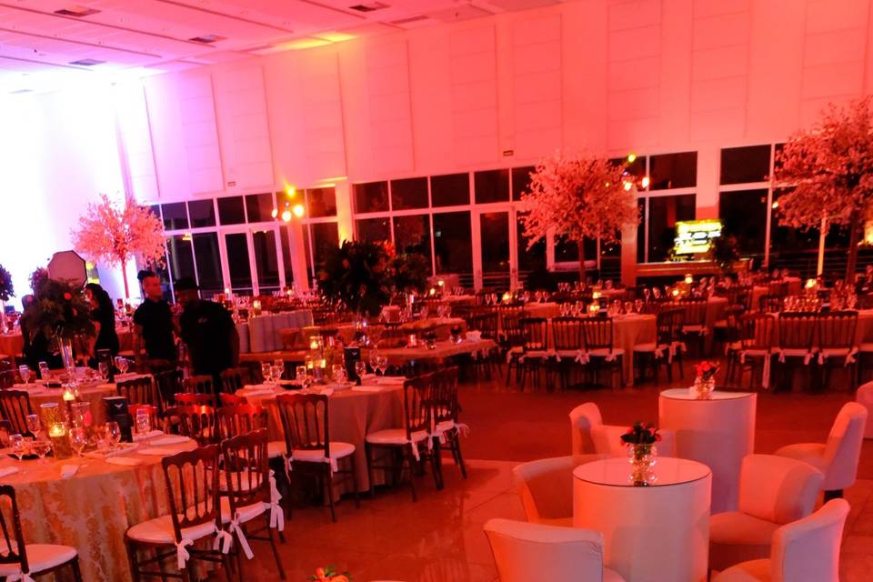 Ambiente acolhedor