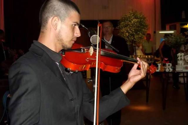 Violino