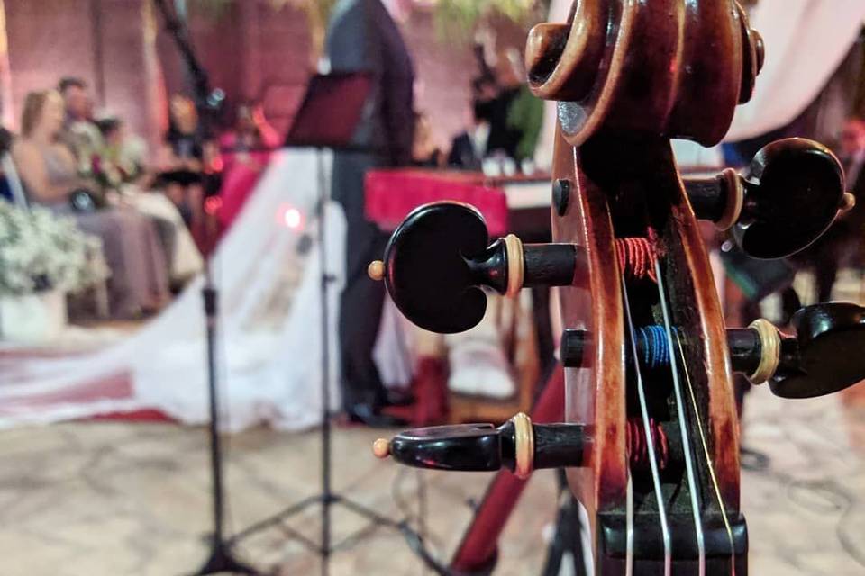 Quarteto de cordas