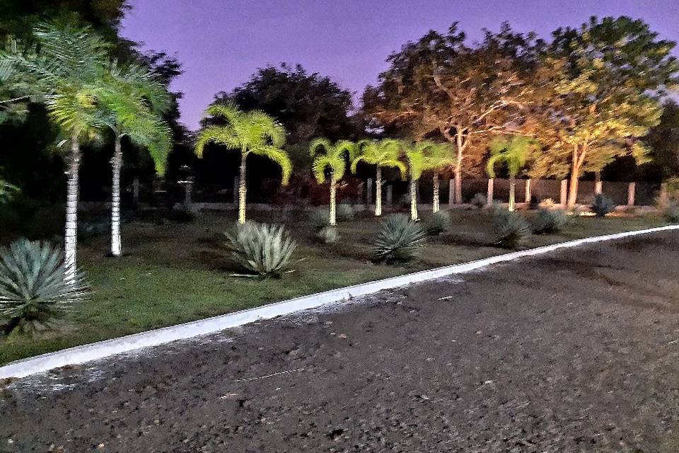 Área verde noite