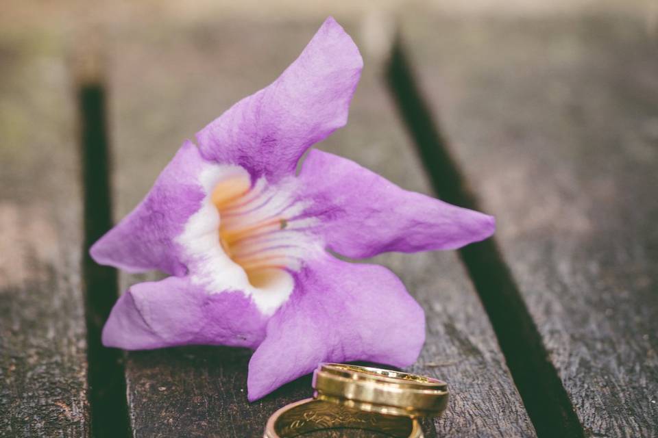 Pré-Wedding: Flávia e Luís