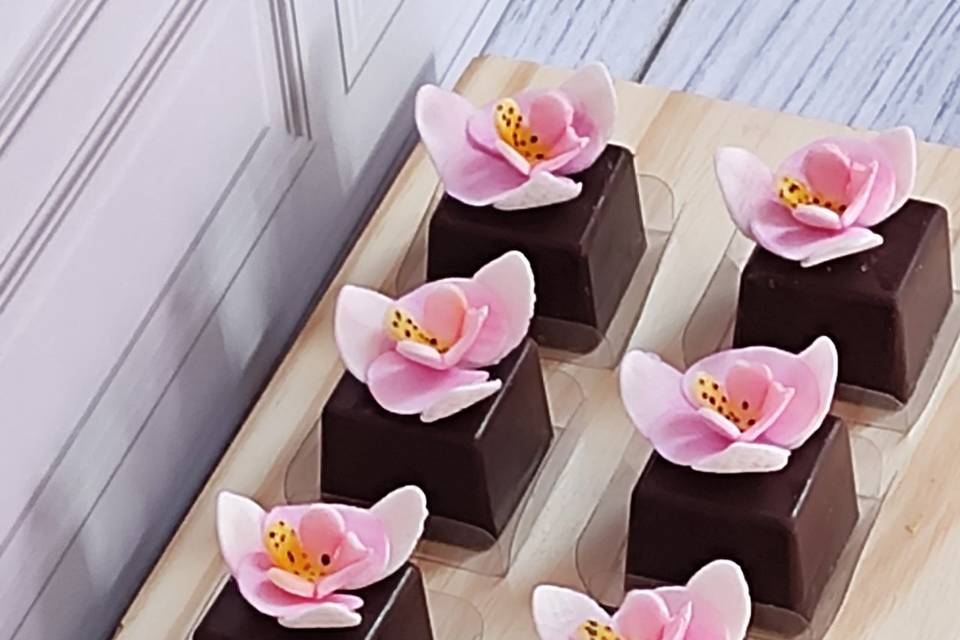 Orquídeas phalaenopsis