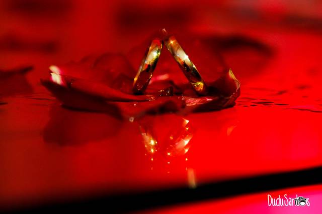 Dudu santos fotografia