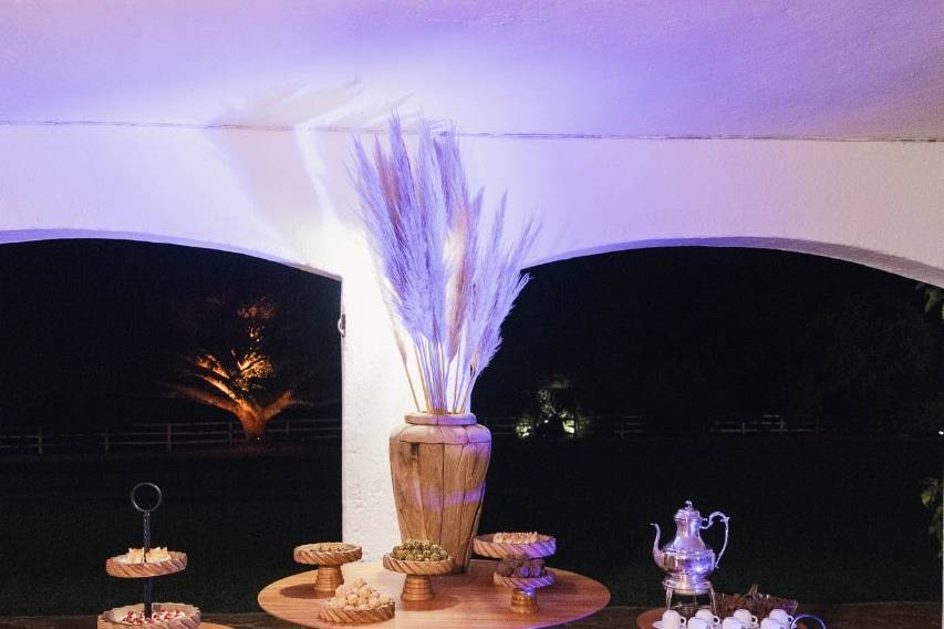 50Th Martha Sittoni