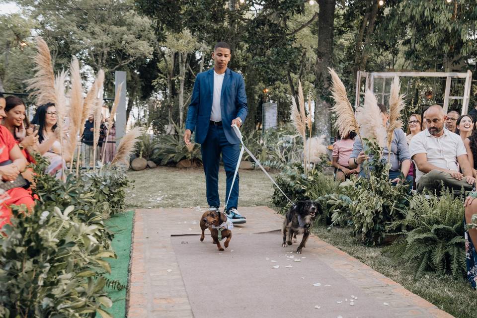 Bianca & Augusto