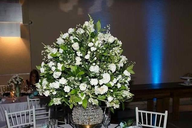 Debutante 2018
