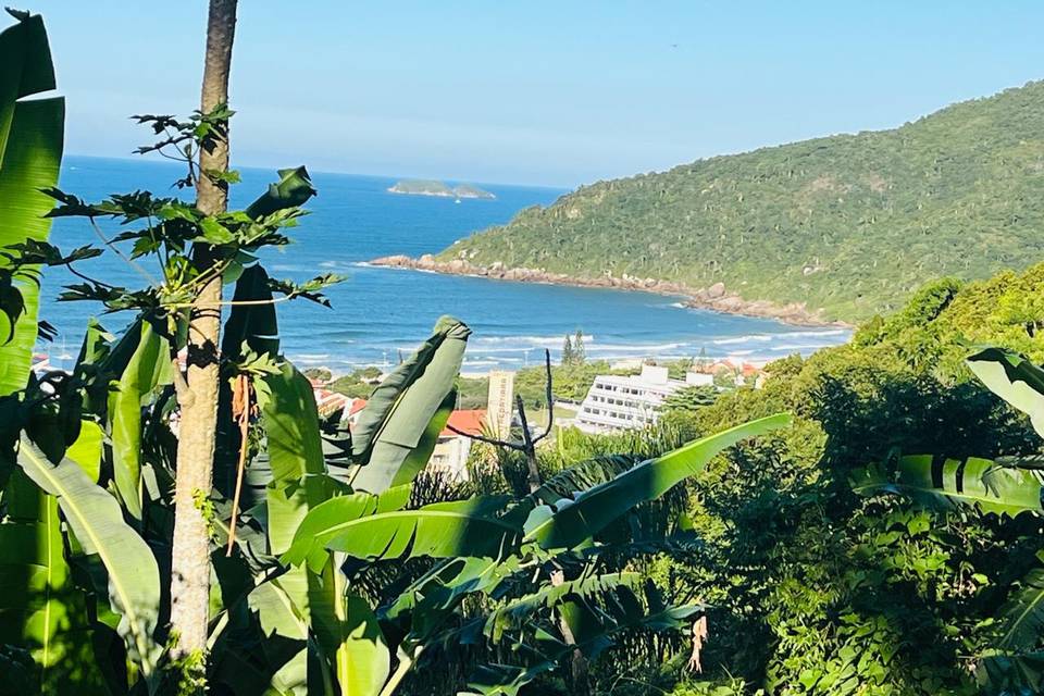 Vista da Praia Brava