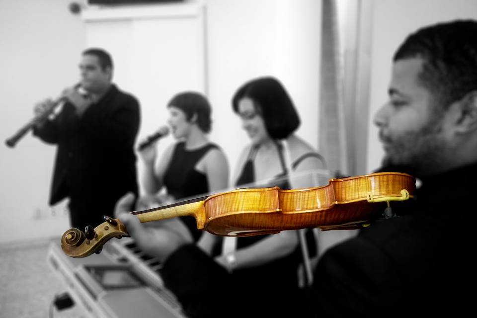 Solo de violino