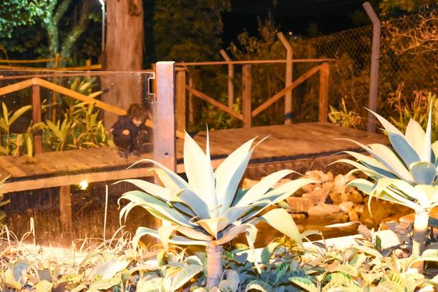 Margô Eventos