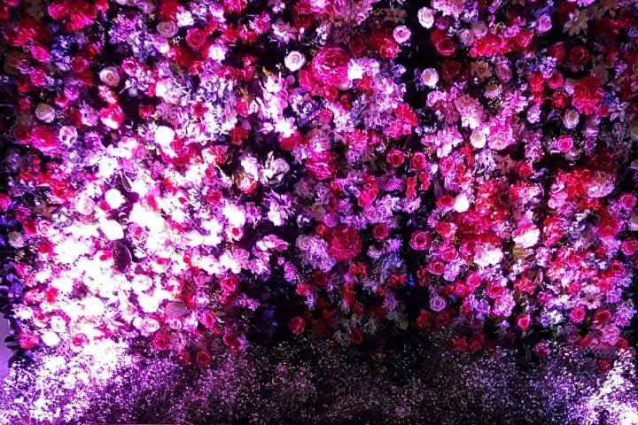 Mural de flores