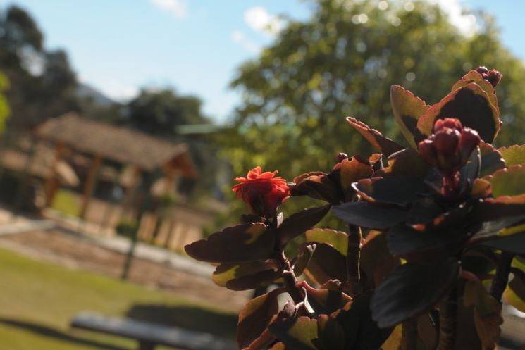 Hotel Fazenda Poços de Caldas