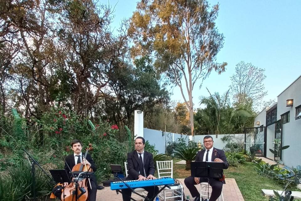 Trio instrumental