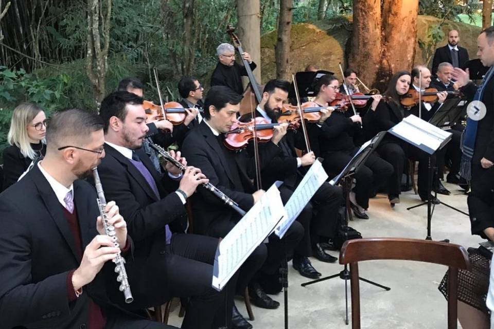 Orquestra para casamento