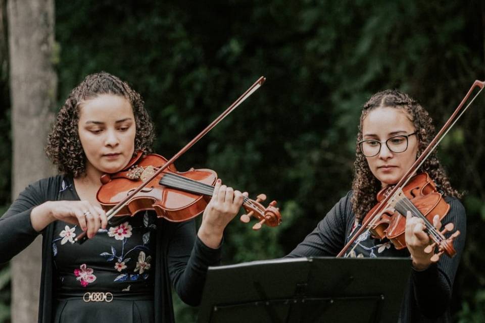 Dois Violinos